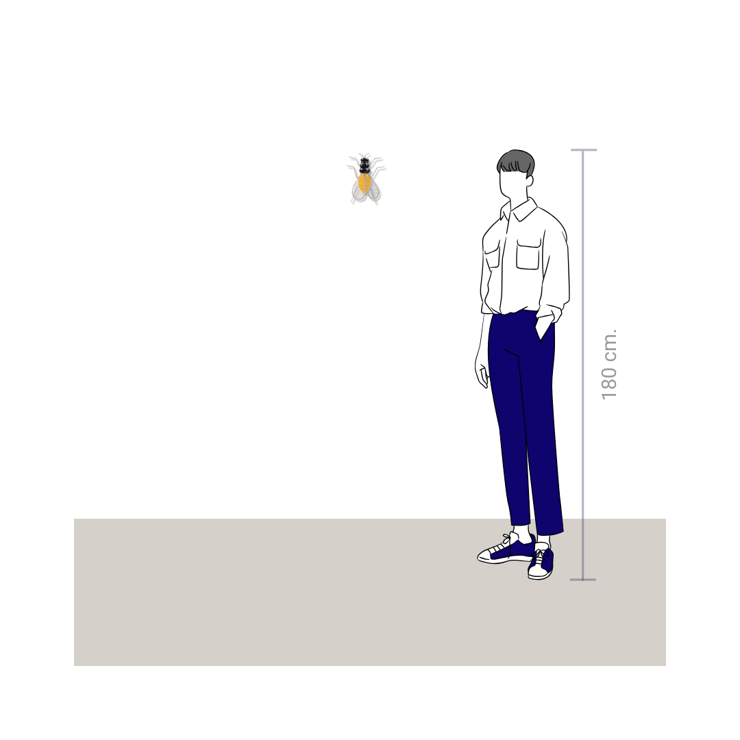 Eduardo Arroyo | Mosca Pequeña - Imagen 2