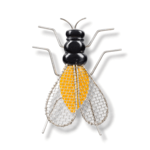 Eduardo Arroyo | Mosca Pequeña