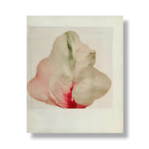 Antonio Murado | Sin Título