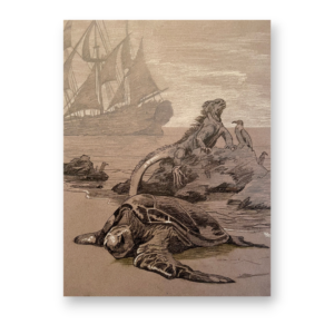 10). THE FAR SIDE OF THE WORLD. Study for HMS Surprise Reaches the Galapagos. 2021 - Portada